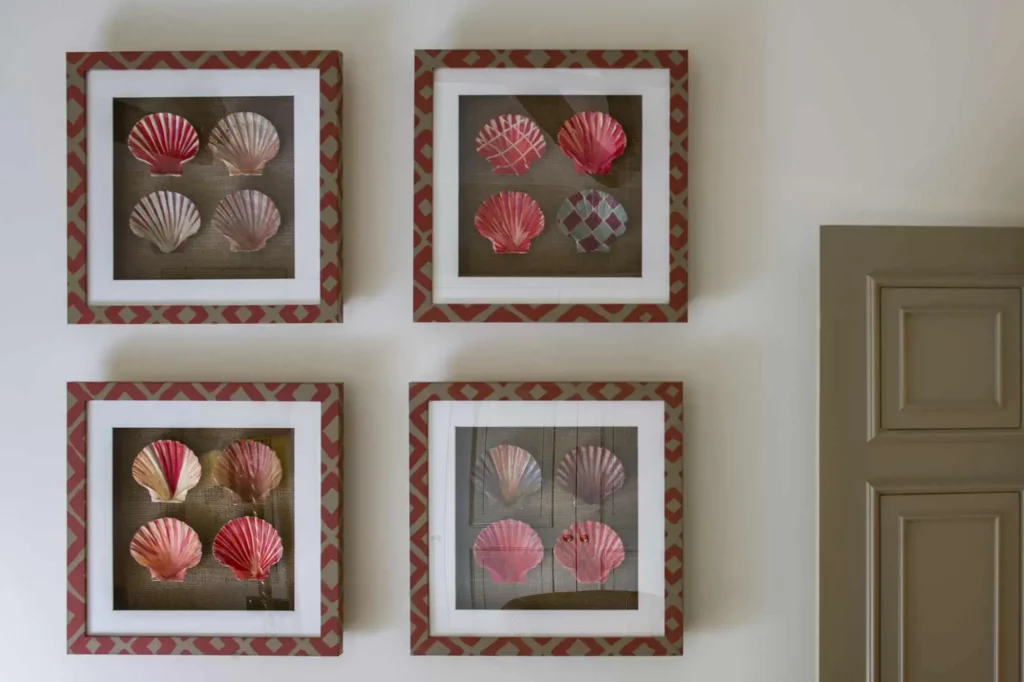 Four framed pictures of shells on a wall