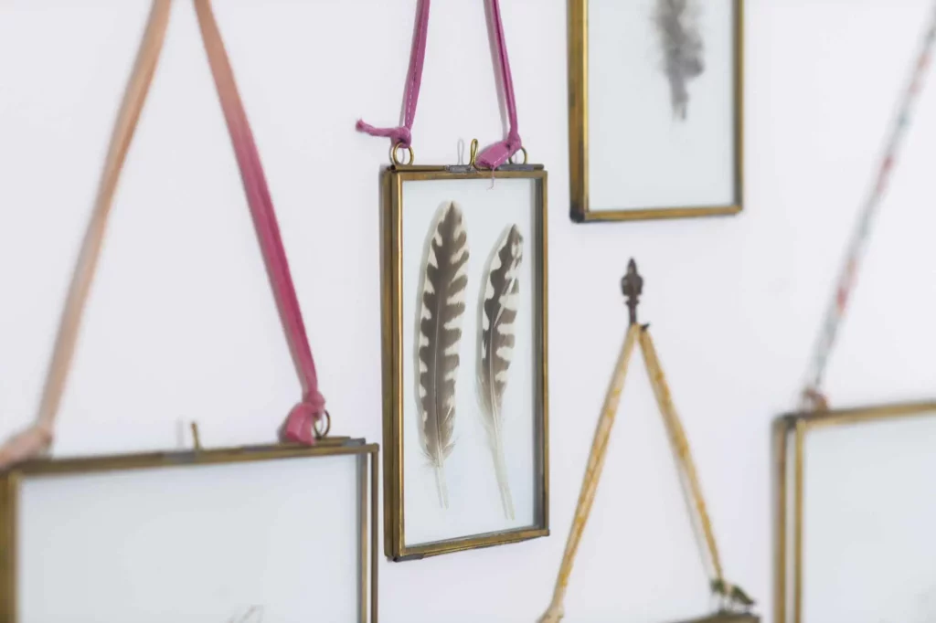 Feathers on a picture frame on a wall