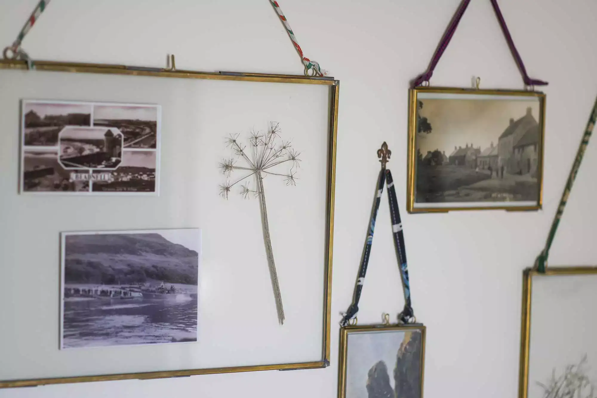 Framed pictures hanging on a wall